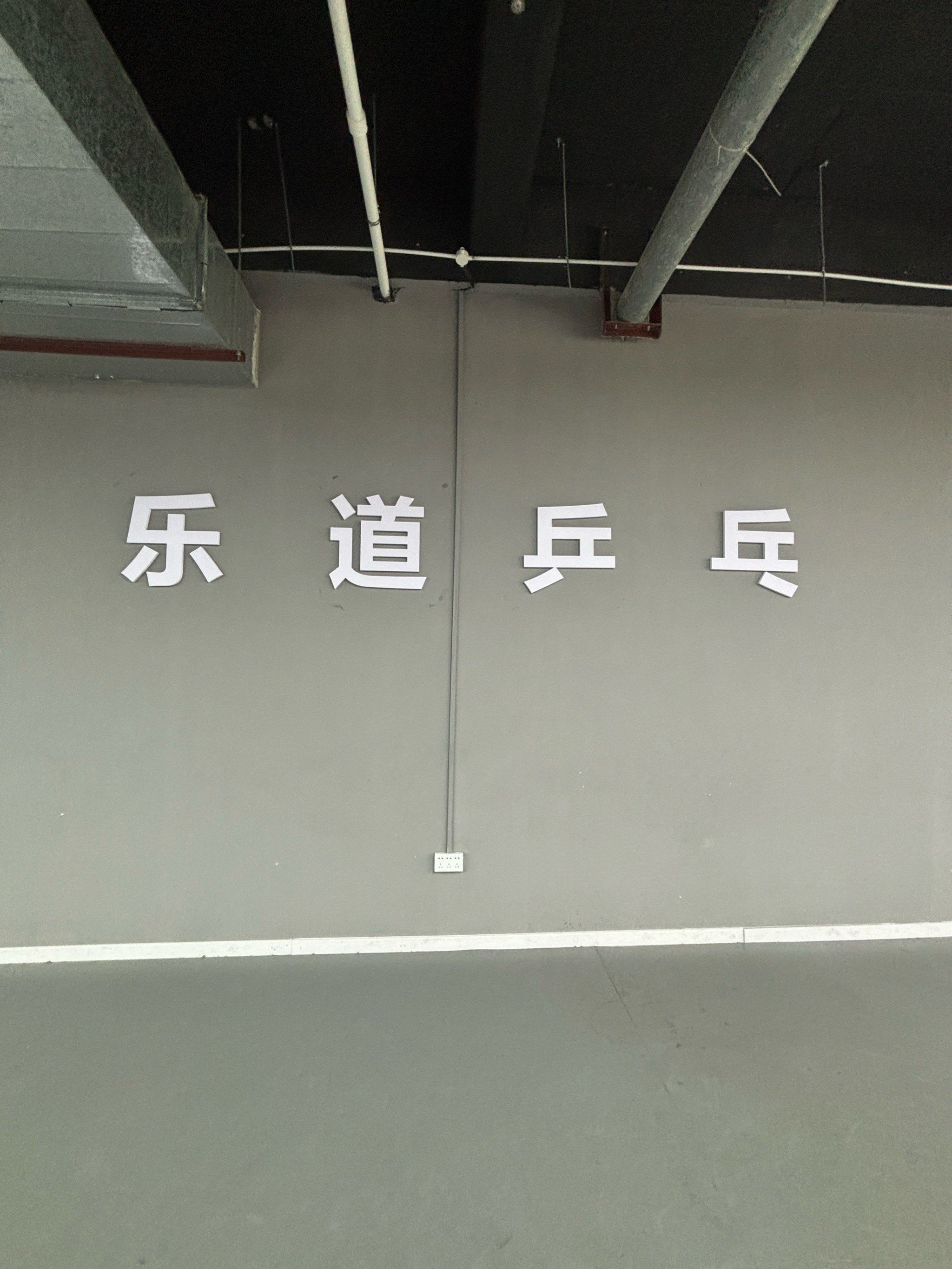 樊振东将加入美国职业乒乓球联赛